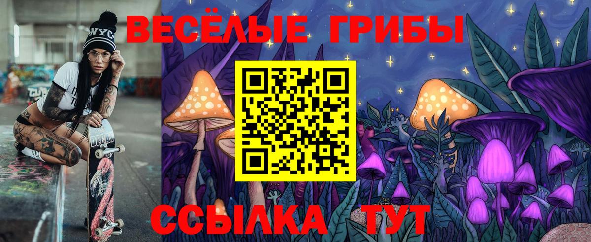 Галлюциногенные грибы Cubensis  Вход с VPN  Липецк 